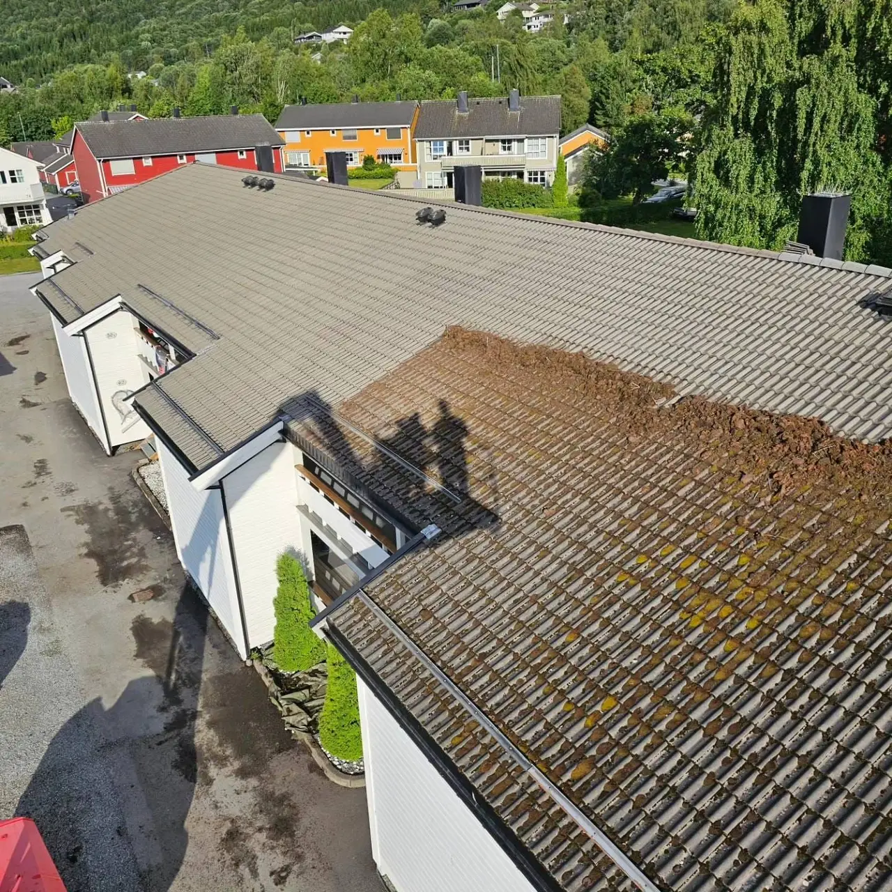 Tak der mosen har tatt over store deler av flaten
